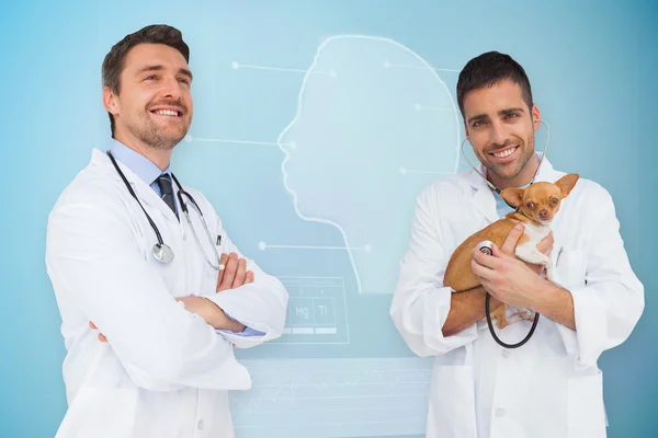 Veterinario azienda chihuahua e medico — Foto Stock