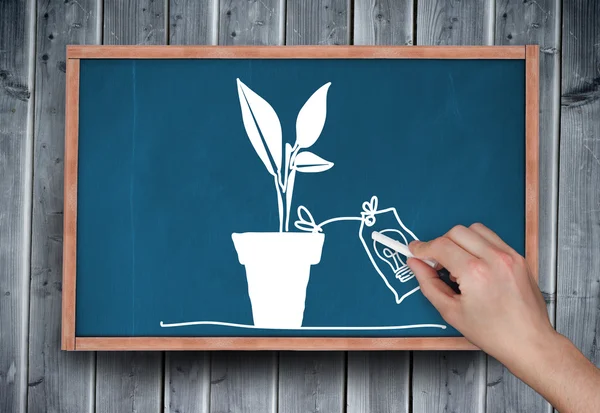 Hand drawing plant with chalk — Stock Photo, Image