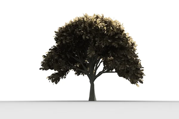 Ağaç yaprakları büyüyen bir sürü ile — Stok fotoğraf