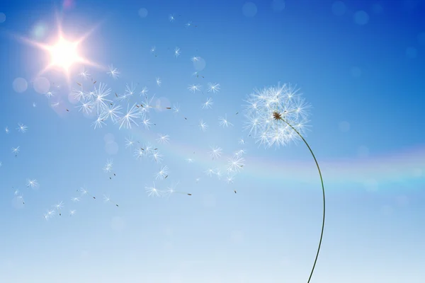 Dandelions against blue sky — Stock Photo, Image