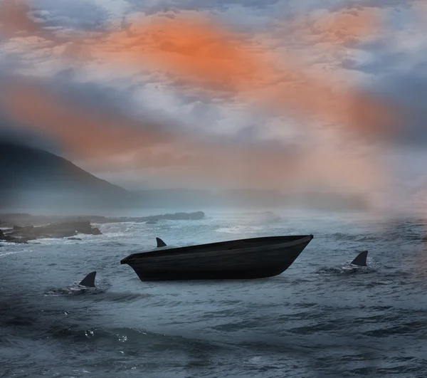 Köpek balıkları tarafından daire içine alınmış yelkenli tekne — Stok fotoğraf