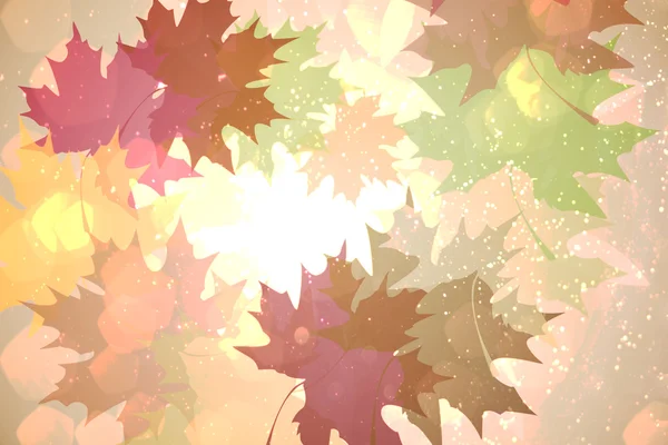 秋天的叶子图案在温暖的色调 — 图库照片