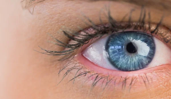Close up of women blue eye — стоковое фото