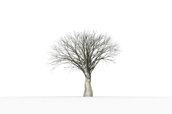 Ölü ağaç yaprakları ile — Stok fotoğraf