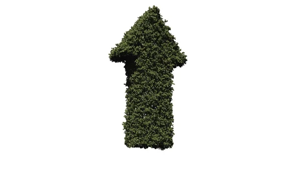 Πράσινο βέλος από φύλλα — Φωτογραφία Αρχείου