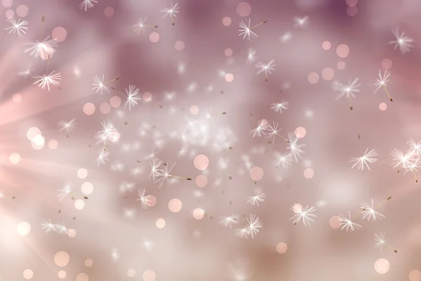 Dandelion seeds on pink background — Stock Photo, Image