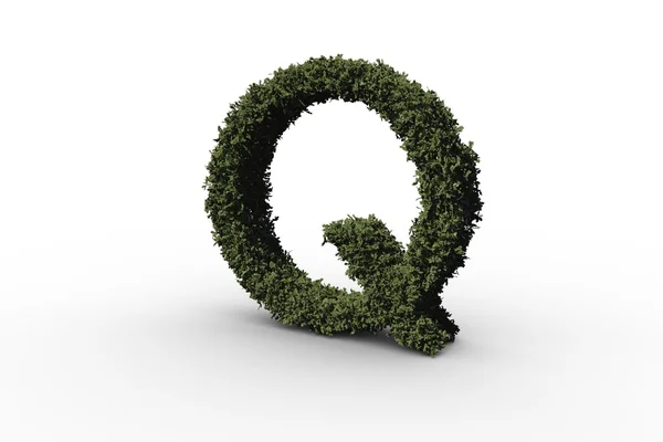 Заглавная буква q из листьев — стоковое фото