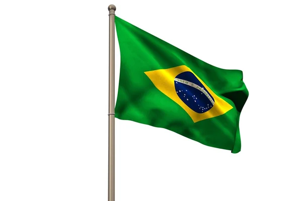 Brezilya ulusal bayrak — Stok fotoğraf