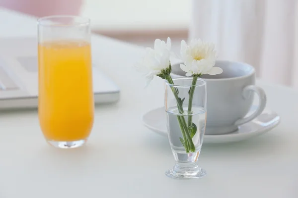 Flor branca em um vaso com café e suco de laranja na mesa — Fotografia de Stock