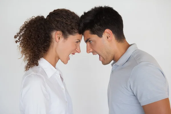 Casual business partners having an argument — Stock Photo, Image