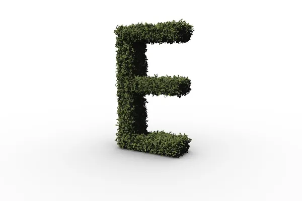 Litera e wykonane z liści — Zdjęcie stockowe