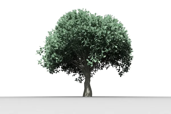 Ağaç büyüyen yeşil yaprakları ile — Stok fotoğraf