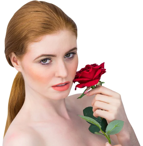 Rossa posa con rosa rossa — Foto Stock