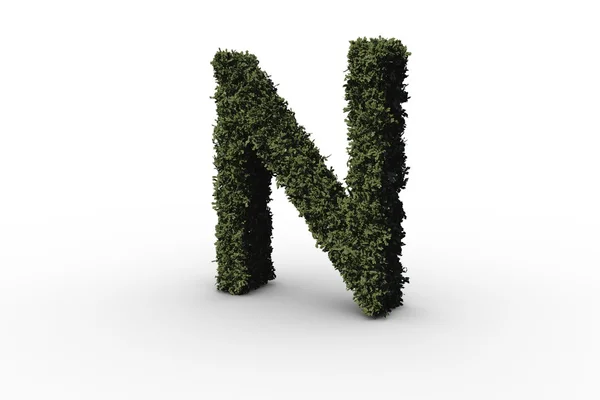 Capital letter n made of leaves — Stock Photo, Image