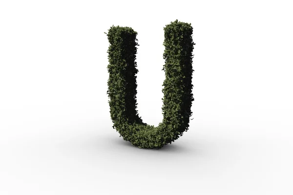 Capital letter u made of leaves — Stock Photo, Image