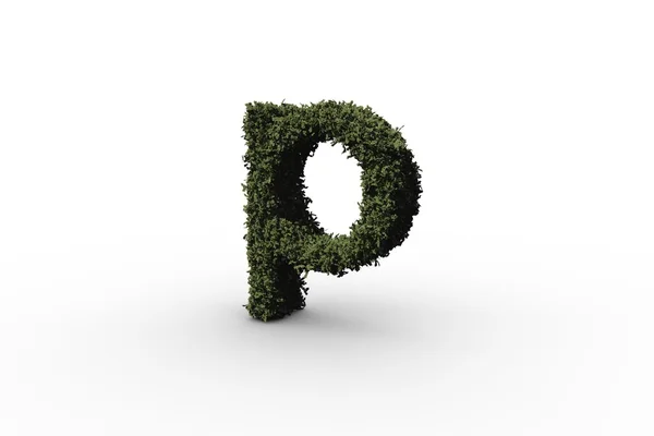 Kleine letters brief p gemaakt van bladeren — Stockfoto