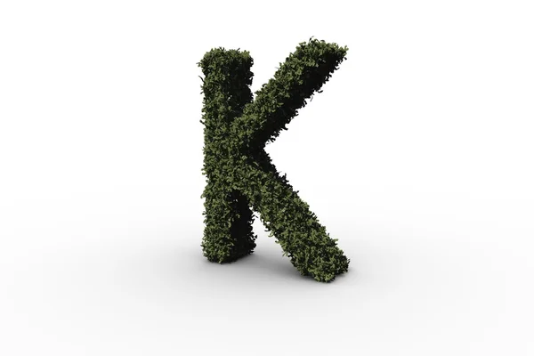 Столична літера k зроблена з листя — стокове фото