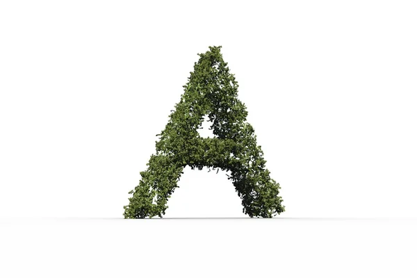 Capital letter a made of leaves — Stock Photo, Image