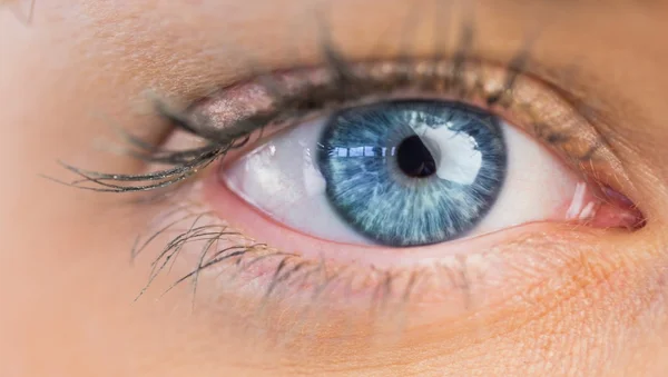 Close up of women blue eye — стоковое фото