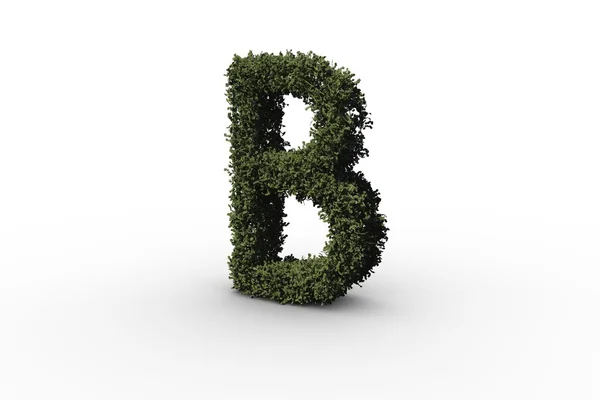 Capital letter b made of leaves — Stock Photo, Image