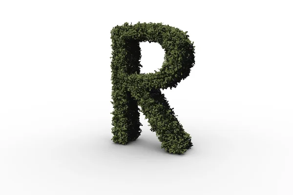 Capital letter r made of leaves — Stock Photo, Image