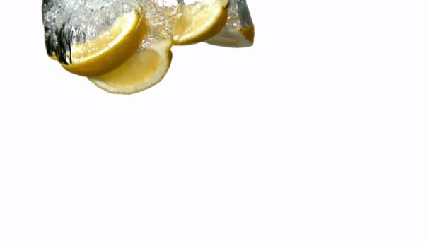 Lemon segments plunging into water — Stock Video