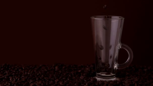 Feijões de café caindo em vidro — Vídeo de Stock