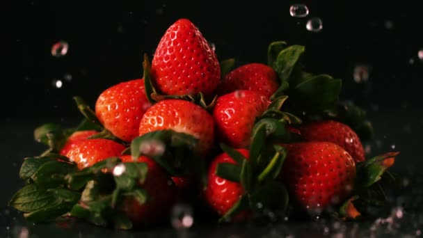 Wassertropfen auf Erdbeeren — Stockvideo