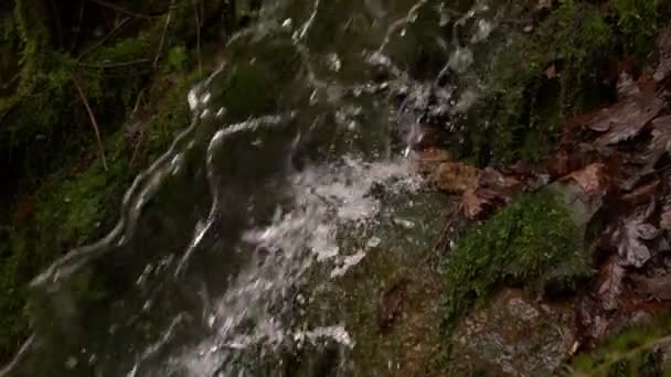 Wasserfall fließt in die Landschaft — Stockvideo