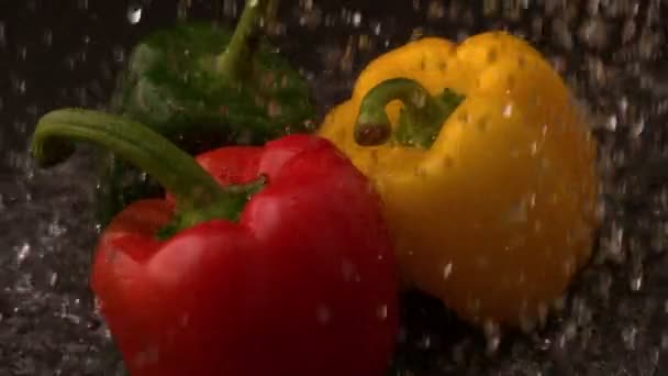 Water pouring on selection of peppers — Stock Video