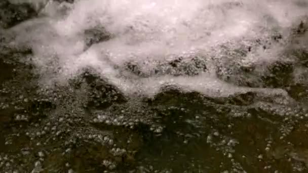 Bouillonnement du ruisseau à la campagne — Video