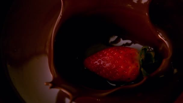 Fresas que caen en chocolate derretido — Vídeo de stock