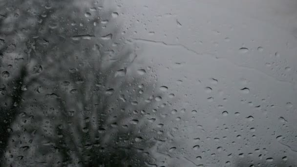 Déšť padá na čelní sklo auta — Stock video