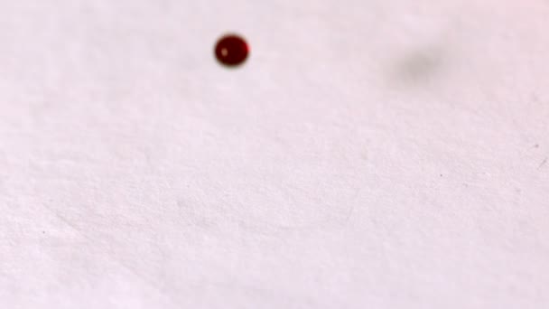 Blood dropping on white surface — Stock Video