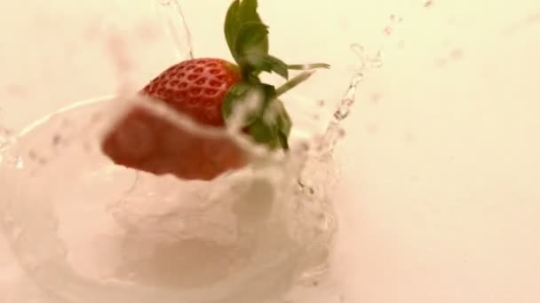 Fragola che cade sulla superficie bagnata — Video Stock