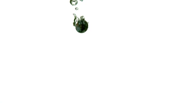 蓝莓落在水中 — 图库视频影像