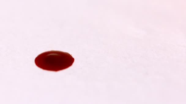 Bloed laten vallen op wit oppervlak — Stockvideo