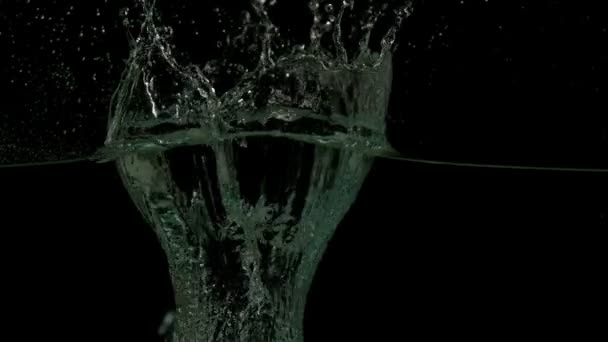 Pera che si tuffa nell'acqua — Video Stock