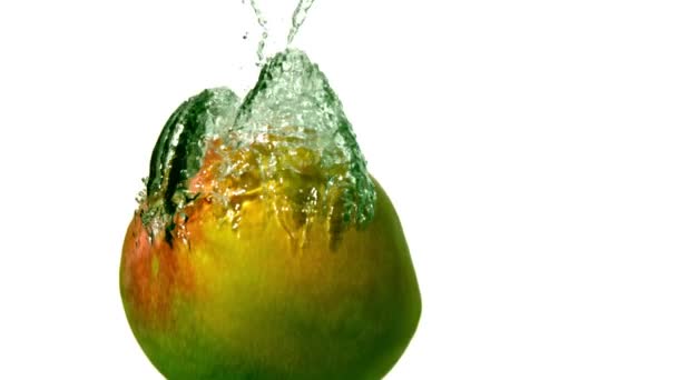 Mango falling in water — Stock Video