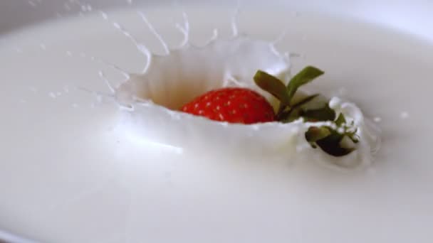 Strawberry faller i glas mjölk — Stockvideo