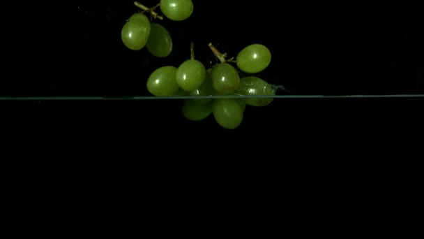 Grapes falling in water — Stock Video