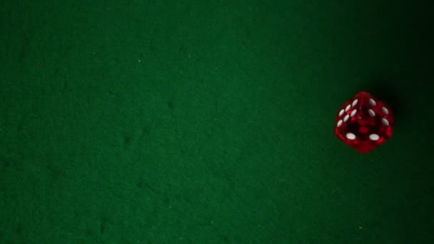 Dados rojos cayendo en la mesa del casino — Vídeos de Stock