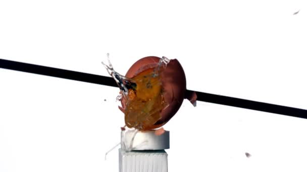 Arrow shooting through an egg — Stock Video