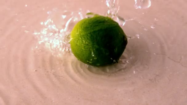 Lime spinning on wet surface — Stock Video