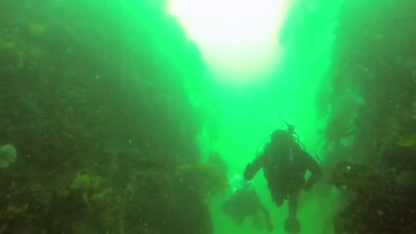 Twee scuba duikers zwemmen — Stockvideo