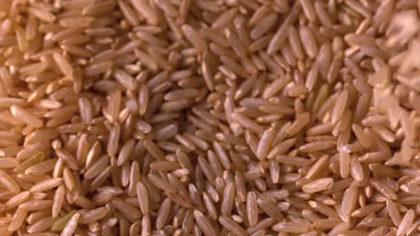 Brown rice pouring onto more — Stock Video