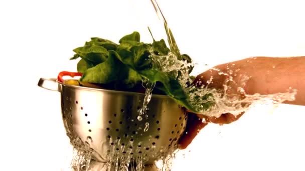 Water gieten over salade — Stockvideo