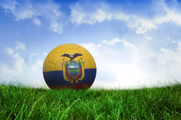 Football in ecuador colours — Stock Photo, Image