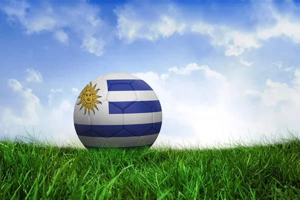 ウルグアイの色でサッカー — ストック写真