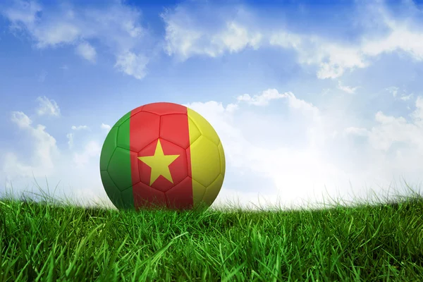 Composite image of football in cameroon colours — Stock Photo, Image